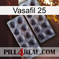 Vasafil 25 31